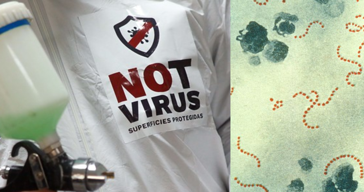 “Streptocuccus pyogenes”: la mortal bacteria en expansión que preocupa a especialistas chilenos