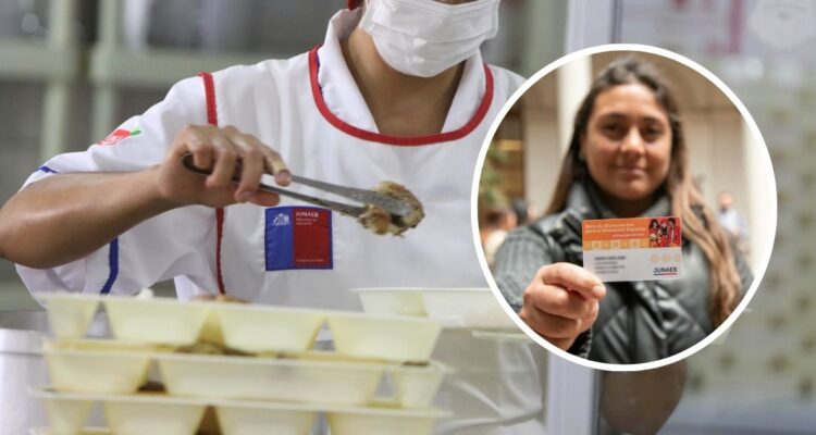 Baes: Junaeb mantendrá a proveedor vía trato directo tras declarar desierta polémica licitación