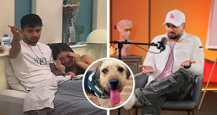 Fernando Altamirano, Bambino, tras polémica de Gran Hermano