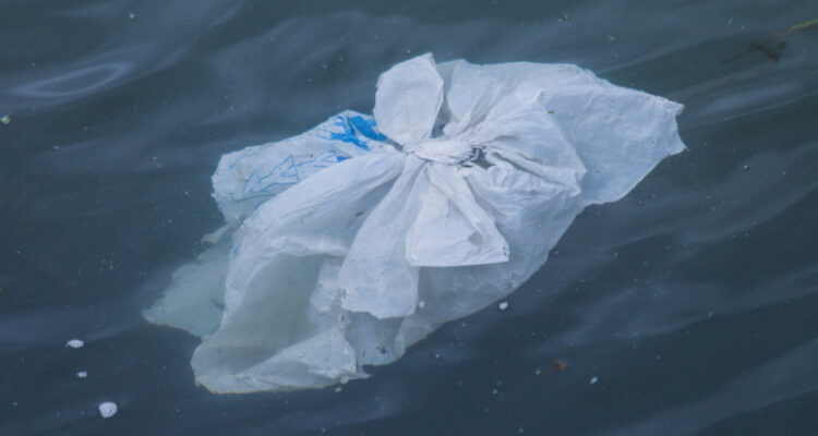 Bolsas plásticas flotando en el mar