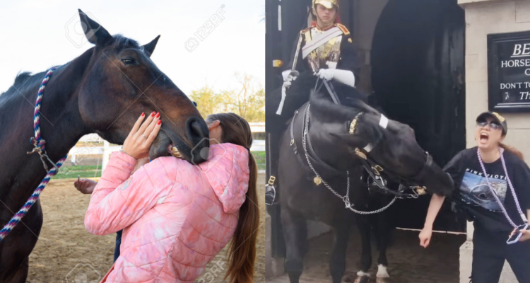 ¿Cuando muerden los caballos?