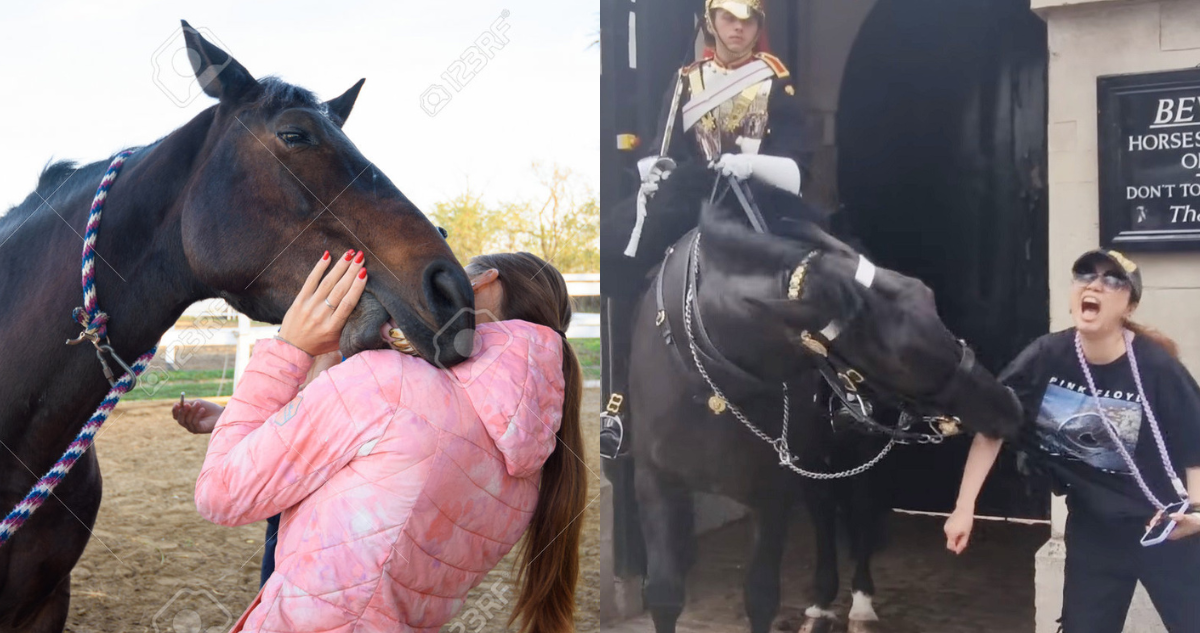 ¿Cuando muerden los caballos?