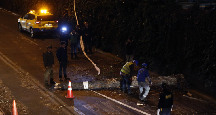 Ráfagas de viento causan caos en La Araucanía: cortes de luz, interrupción de rutas y caída de árboles