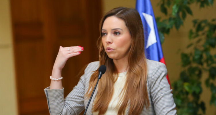 Diputados RN proponen cerrar fronteras a 13 países y así evitar bandas criminales extranjeras