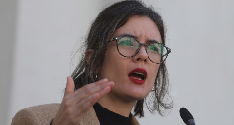 Imagen de Camila Vallejo por función de ministra enlace tras megaincendio