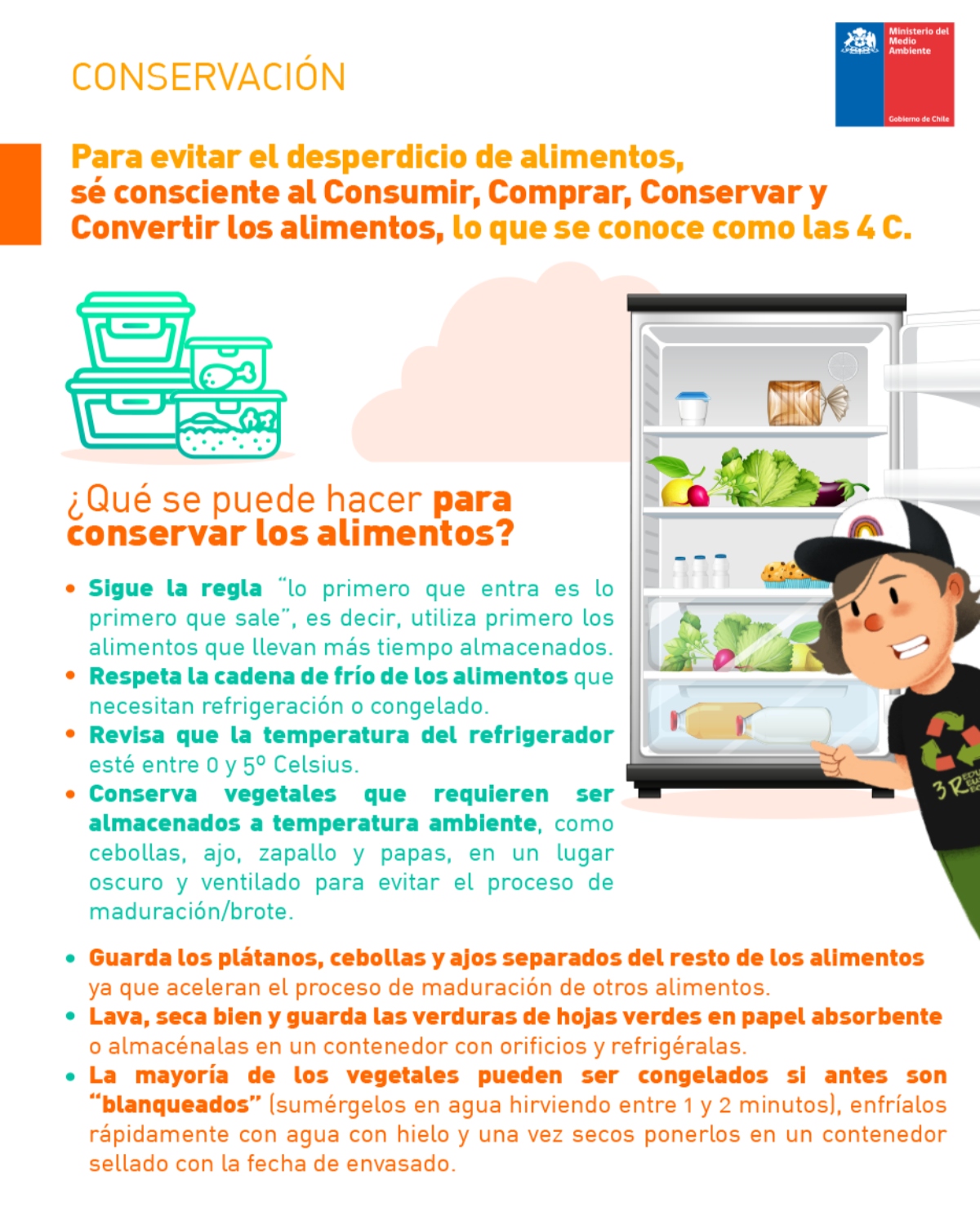 El impacto del desperdicio de comida en el mundo ¿Cómo organizar tu ...