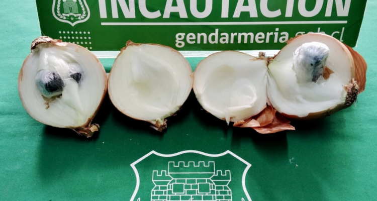 Cebollas rellenas con cocaína