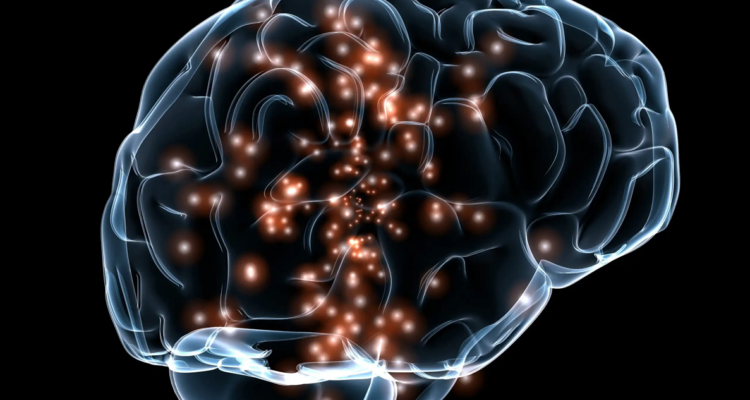 Un estudio descubrió que los estímulos ambientales físicos y cognitivos son capaces de lograr “rejuvenecimiento molecular del cerebro”.