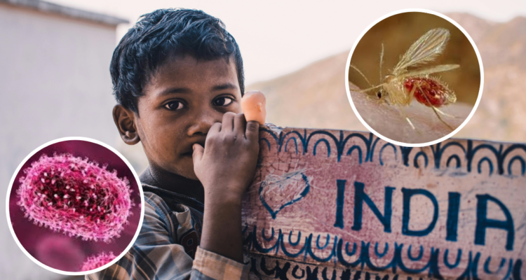 Chandipura, el virus que cobra vidas de niños en India: ¿qué probabilidad hay de que llegue a Chile?