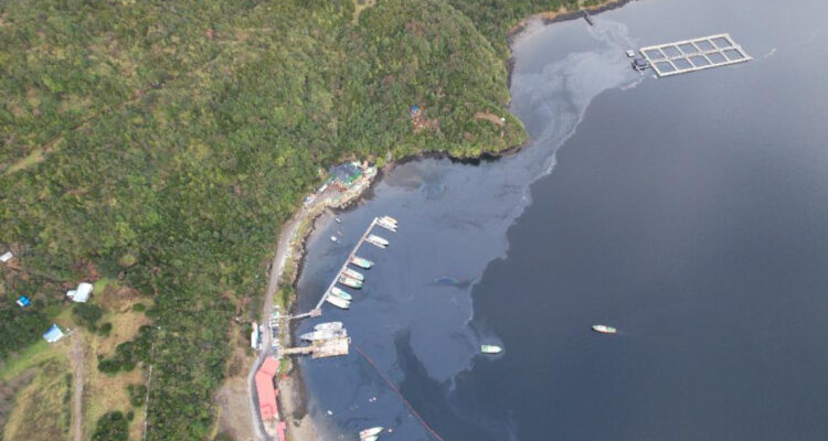 PDI confirma investigación por derrame de combustible en Puerto Chacabuco