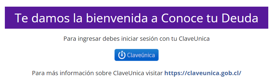 ¿Sabes si estás al día con deudas bancarias?: Revisa aquí con tu Rut si tienes pagos pendientes