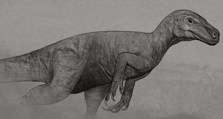 Representación del dinosaurio fósil encontrado en Brasil