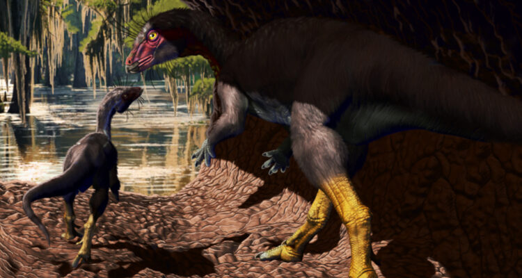 Descubren nueva especie de dinosaurio del tamaño de un perro que vivió en madrigueras subterráneas
