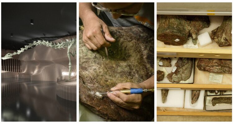 Un fósil de dinosaurio único en el mundo por sus huesos verdes que fascina a los paleontólogos está siendo exhibido en Los Ángeles.