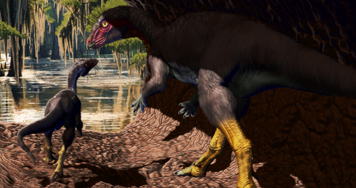 Descubren nueva especie de dinosaurio del tamaño de un perro que vivió en madrigueras subterráneas