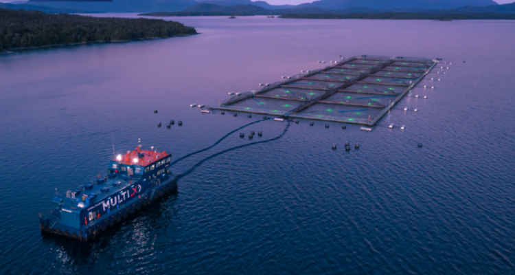 industria salmonera en chile