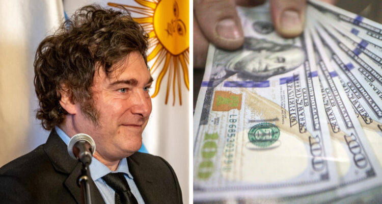 “Dólar puré”: cómo funciona la maniobra financiera recomendada por Javier Milei