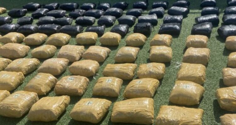 Región de Coquimbo: casi media tonelada de droga incautada y un detenido deja operativo de Carabineros