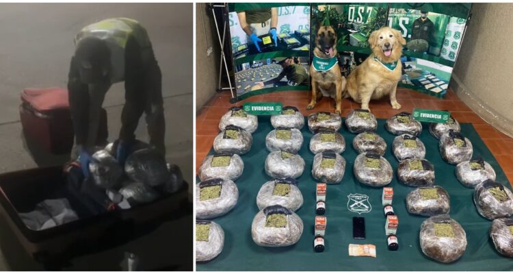Descubren marihuana al interior de dos maletas en bus con destino a Santiago