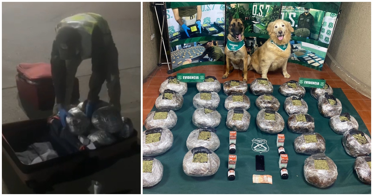 Descubren marihuana al interior de dos maletas en bus con destino a Santiago