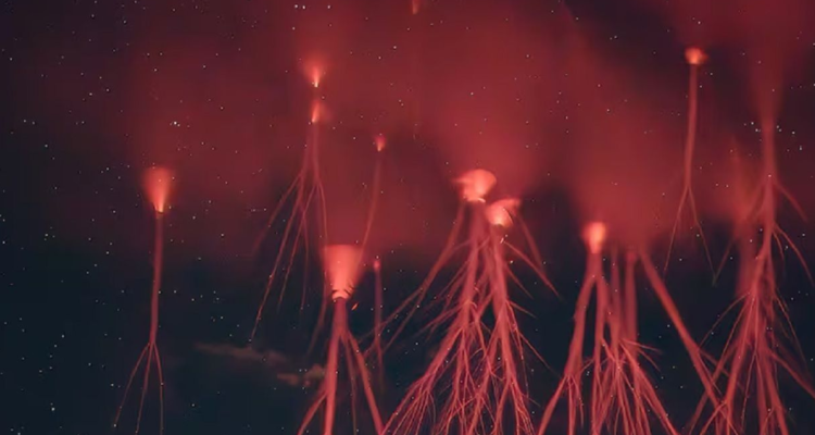 La NASA convoca a nivel mundial a contribuir en la captura de imágenes de TLE, incluyendo los enigmáticos “duendes rojos”