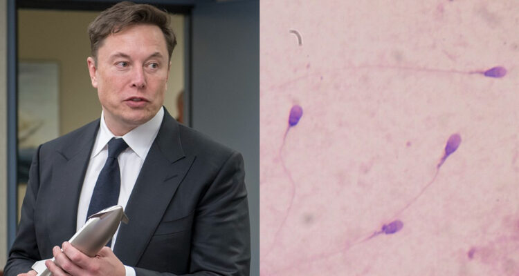 Elon Musk habría ofrecido su esperma para colonizar Marte: planea asentar a un millon de humanos