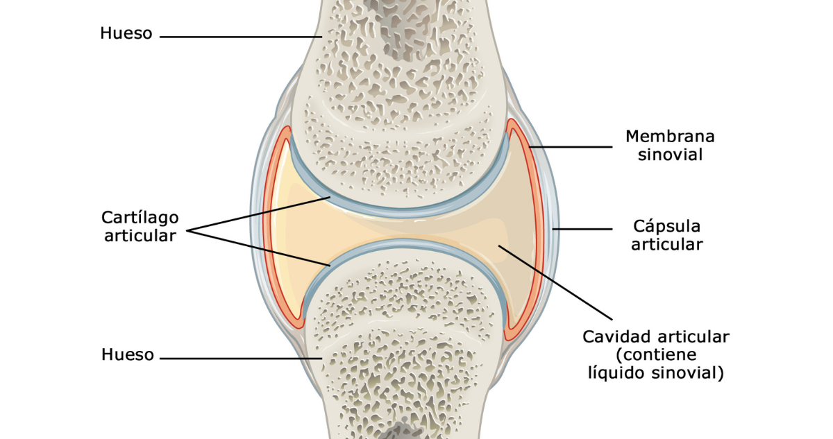 ¿Es perjudicial "hacernos sonar" los dedos? Experto aclara el mito y explica por qué crujen