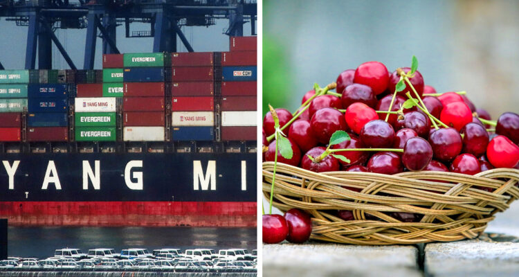 imagen contexto de exportaciones de cereza chilena a china