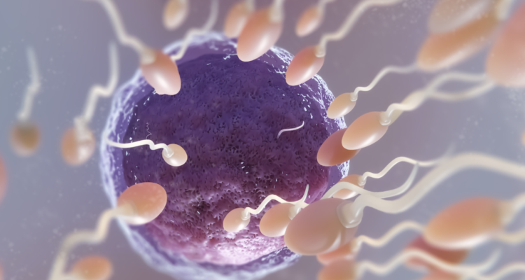 Estudio descubre que las temperaturas extremas pueden afectar a la fertilidad en hombres