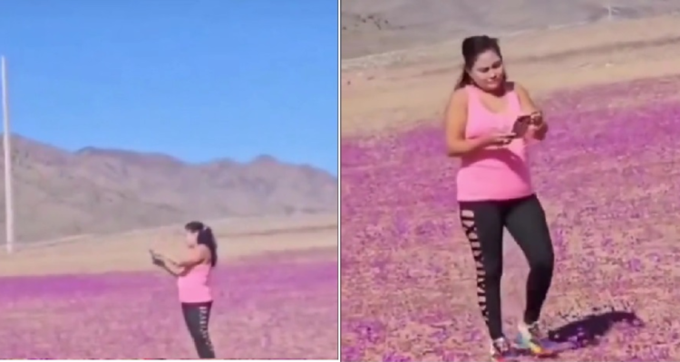 Equilibrio desierto florido