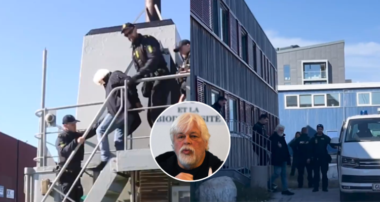 Detienen en Groenlandia a Paul Watson, destacado defensor de las ballenas buscado en Japón