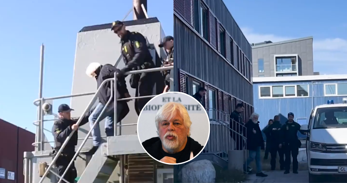 Detienen en Groenlandia a Paul Watson, destacado defensor de las ballenas buscado en Japón