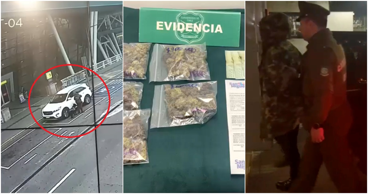 Perro policial la delató: detienen a mujer con droga y documentos falsos en Aeropuerto de Santiago