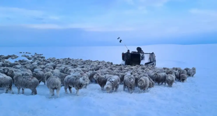 Ola de frío extremo Patagonia