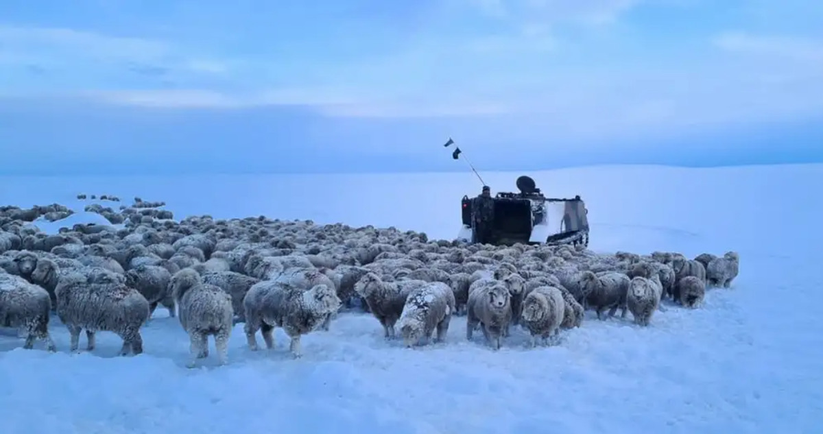 Ola de frío extremo Patagonia