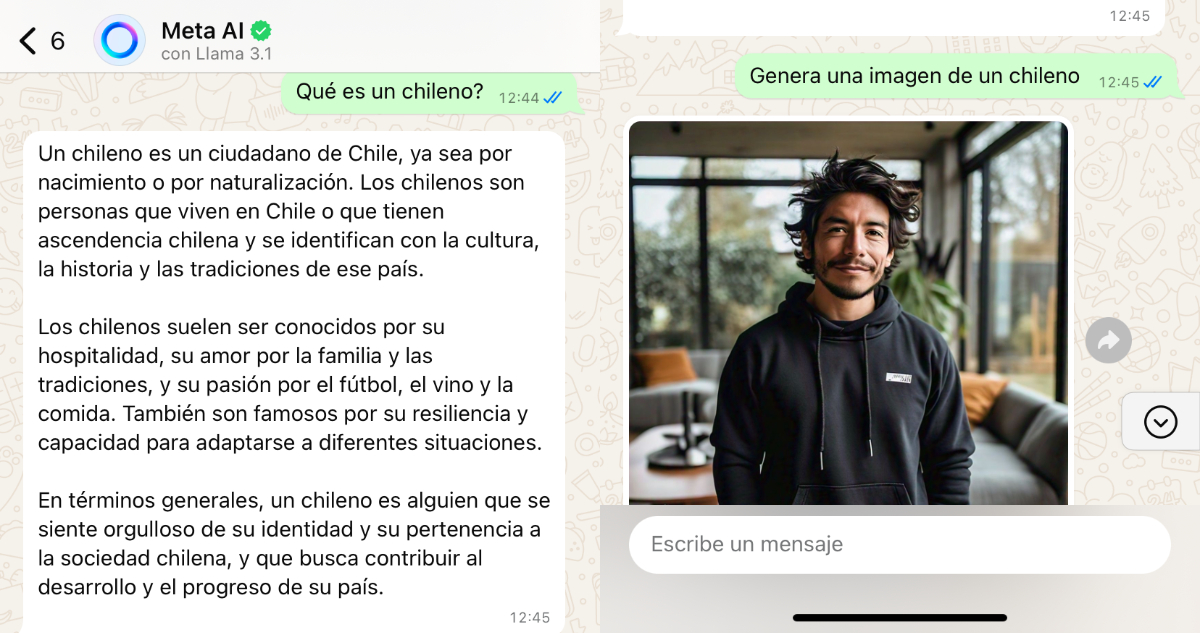 Internautas descubren que la IA de WhatsApp no sabe "crear" chilenos: genera raras criaturas peludas