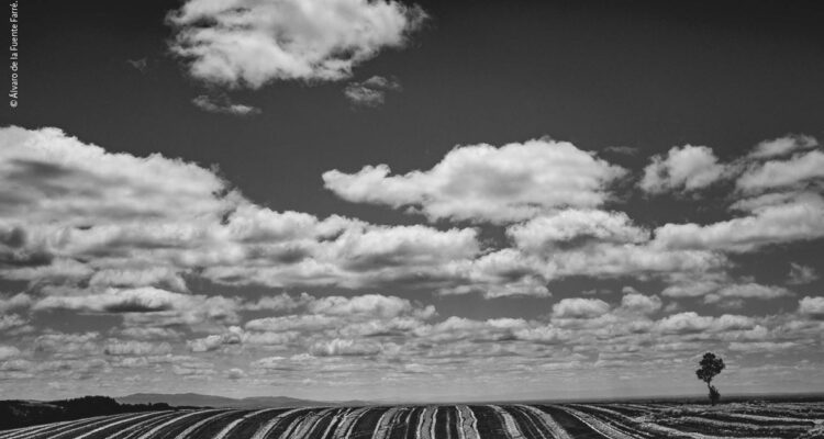 pagina cronicas de la nueva esperanza