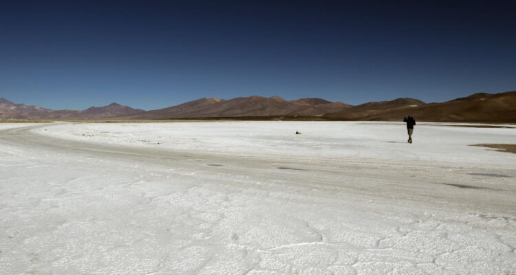 otografía del salar de Maricunga, el 6 de junio 2023 en la ciudad de Copiapó (Chile)