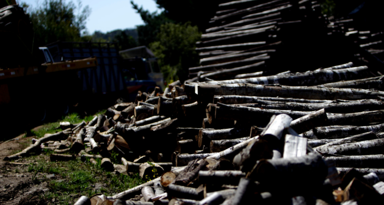 Imagen de madera por detenidos en San José de la Mariquina