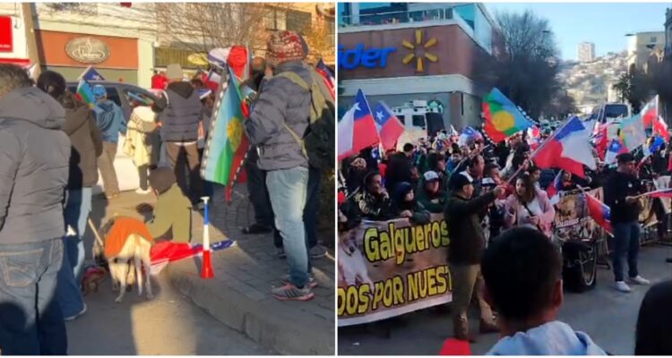 Manifestación contra ley que prohibiría carreras de galgos