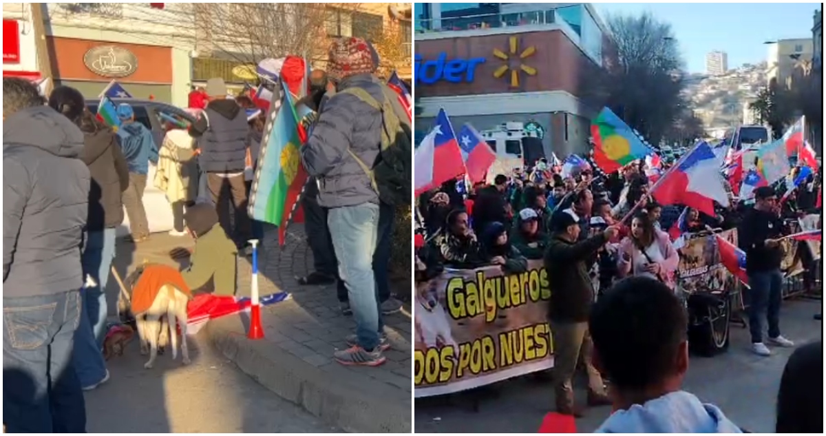 Manifestación contra ley que prohibiría carreras de galgos