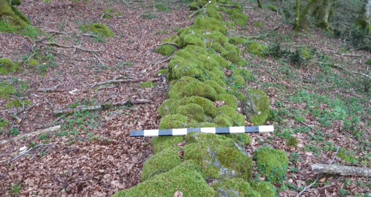 Muralla romana cubierta de musgo, que se usó para contener a Espartaco