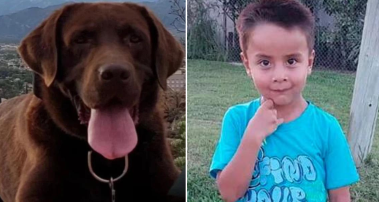 Muerte de Nerón, perro que apoyo búsqueda Loan en Argentina