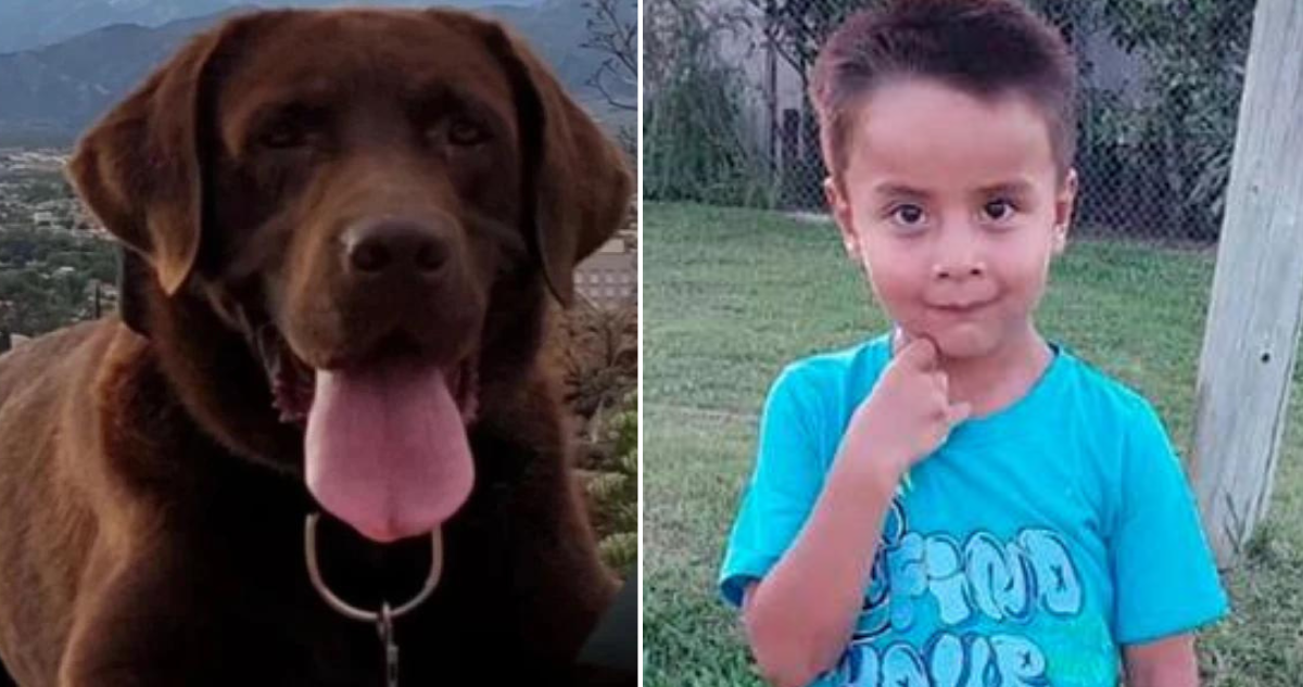 Muerte de Nerón, perro que apoyo búsqueda Loan en Argentina