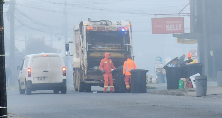 no fue accidente laboral caída de recolector en valdivia