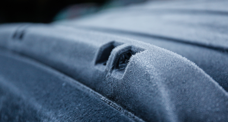 Imagen por ola de frío en Los Ríos