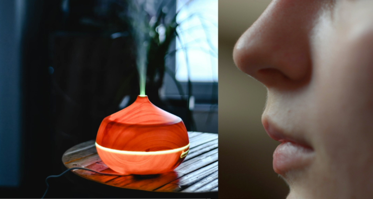 Estos son los 7 olores que mejoran la capacidad cognitiva de tu cerebro