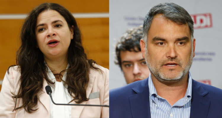 Ministra Orellana por dichos de senador Macaya: “Muestra cero comprensión del problema”