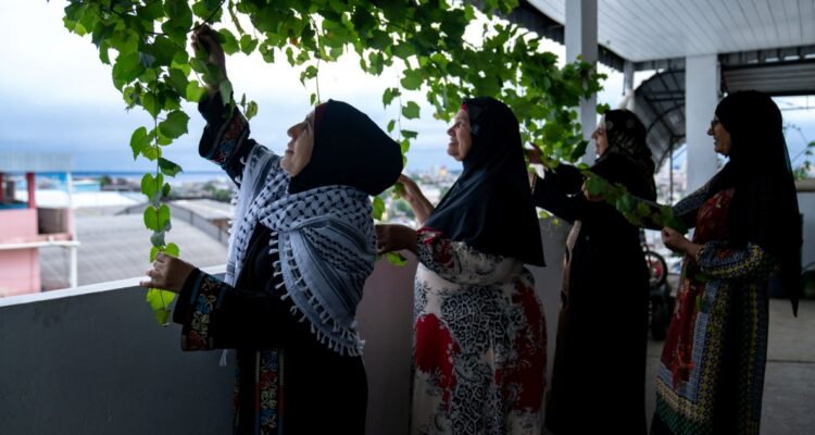 Palestinas de distintas generaciones en la Amazonía brasileña cultivando hoja de uva