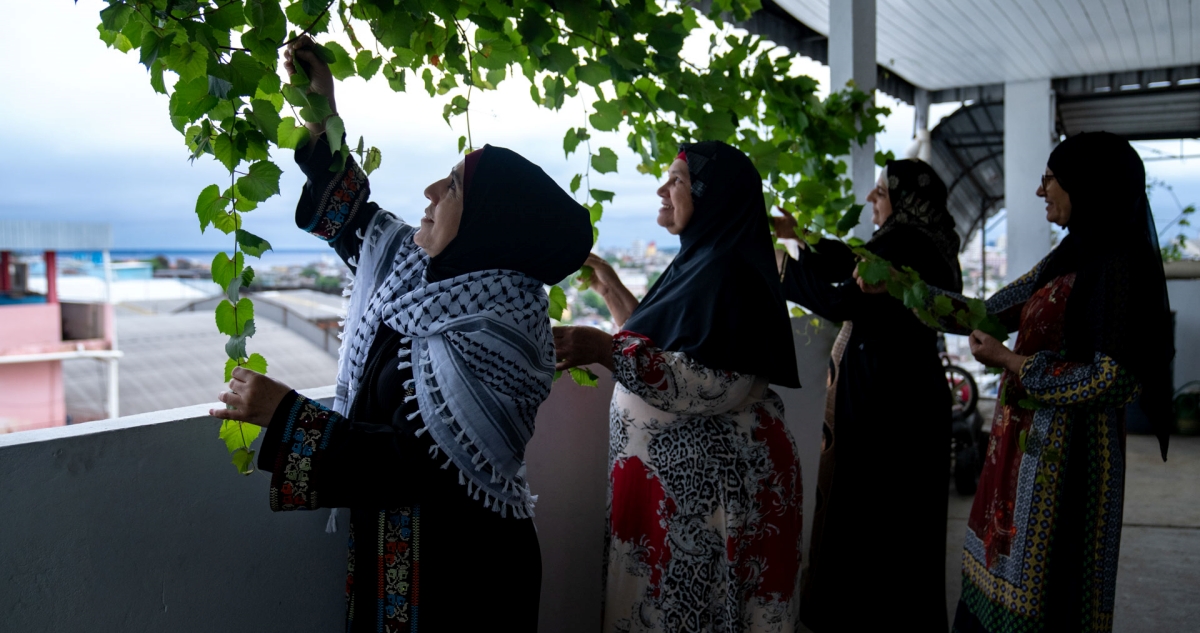 Palestinas de distintas generaciones en la Amazonía brasileña cultivando hoja de uva